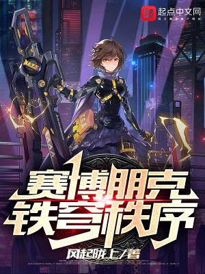 赛博朋克:铁穹秩序