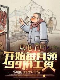 从电子厂开始,每月领99份工资